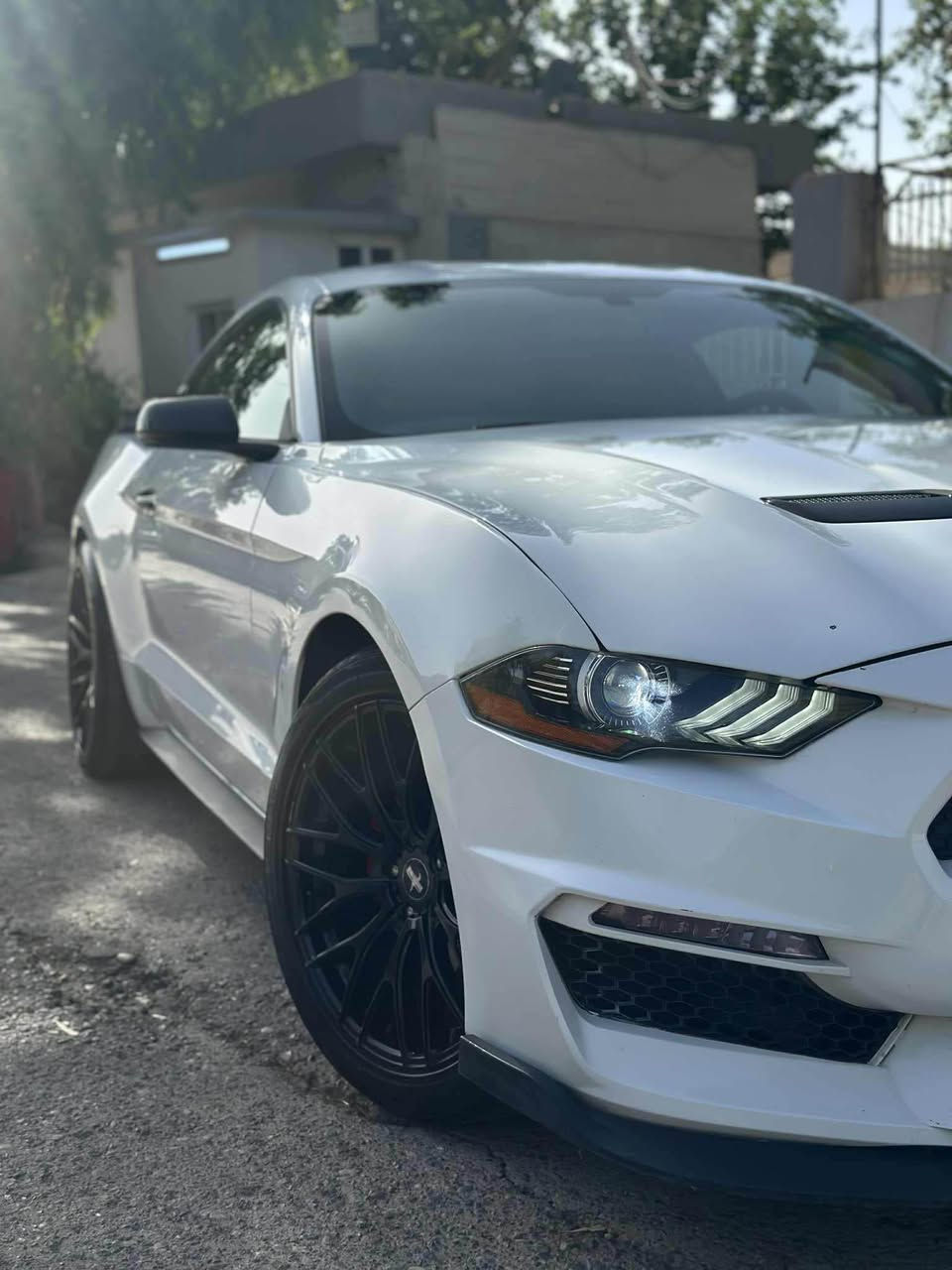 Ford mostang 2018 ecobust  
‎سبوغ 3 پارچە كلێری ئەمریكا بێ دەحم بێ ئێڕباگ 98 مایل ڕۆشتیە گێڕ و مەكینەی بە شەرت ، شوێن هەولێر
‎نرخ : 129وەرقە و مجال 
***********

السلام عليكم الاخوان ..
فورد موستنج 2018 ايكوبوست
‎وارد امريكي سيارة مواصفات احتيادي
‎ماشیە٩٨ مايل .. 
‎كير محرك بشرط مامفتوح .. 
‎سيارة مابي نواقص جاهززة من كلشي  .. 
‎بي ٣ قطع بس كلير بدون دواهل و ايرباك ماطاك ..
‎ سعر: ١٢٩ورةقةبهامجال
‎مكان سيارة اربيل 
*********** أربيل, العراق
