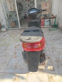 فراشه فحل • كله شغال • نجف ابو اصخير