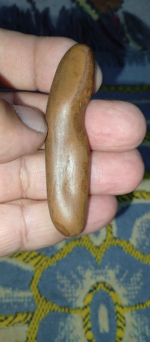 ‎حجر سلطاني‎ البصرة, العراق


**إذا كنت صاحب هذا الإعلان وتريد حذفه لأي سبب، رجاءا أرسل رسالة إلى الدعم الفني**