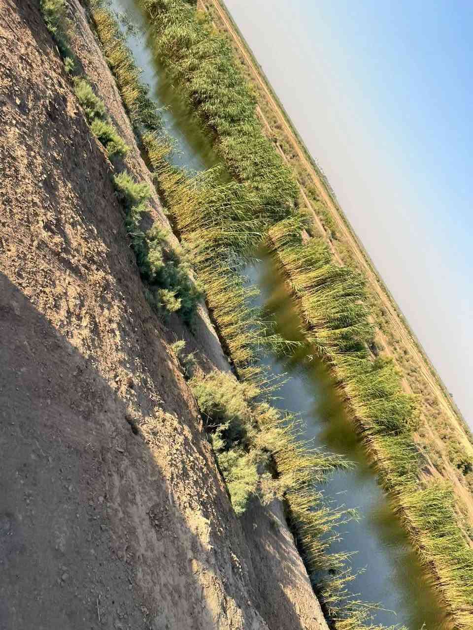 السلام عليكم ارض زراعيه المساحه 80 دونم طابو سند 25 تحويل مباشر سقي سيح اروائي صب سقاطات تربه جيده جدا كهرباء واساله والتبليط يبعد عنها ٢ كيلو المكان الصويره بدعه حمد تبعد عن مركز المدينه 10 دقايق سعر الدونم ٥ ملايين ونص للاستفسار على رقم ***********
