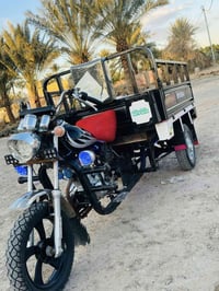 ستوته • ٢٠١٤ • الحله القاسم