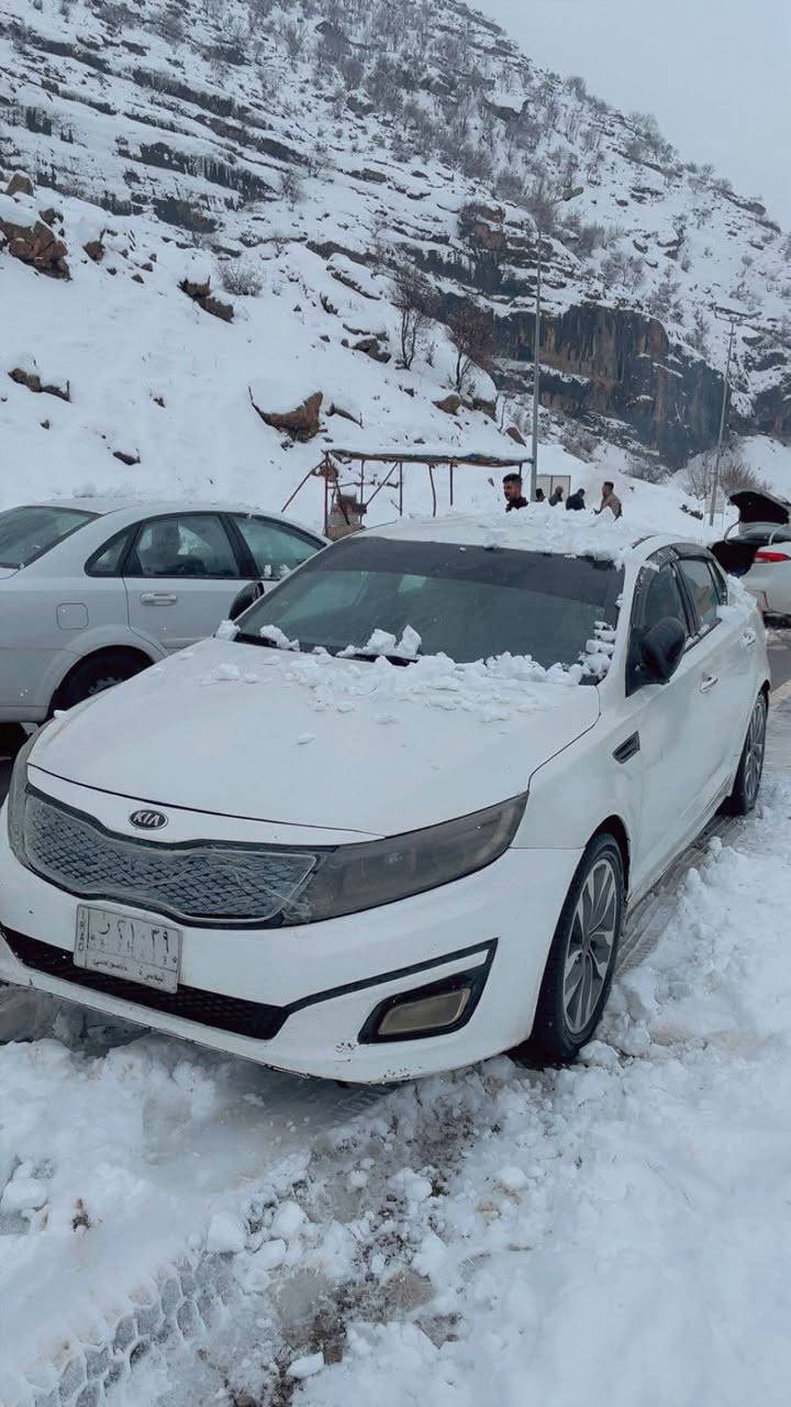 السلام عليكم
للبيع اوبتيما 2015 خليجي 
رقم بصره 
السياره مصبوغه عام (كوم حديد اكفل كص وشواصي واصوليات فقط)
مكينه 2400 دوش 
فول مواصفات عدة الفتحة
تبريد قطعتين 
تدفئة
ثلاجة بالجكمجة 
دواخل بيجي جلد
دركة حرف D
لايت وبك لايت لد 
اشاير بالمرايه
مرايه شفط
بصمه 
ويل 18 بلاد 5 ويل
السعر 97 وبيها مجال بسيط عليها غرامة ورقتين تطيح من سعرها
مكاني البصره للاستفسار *********** البصرة, العراق
