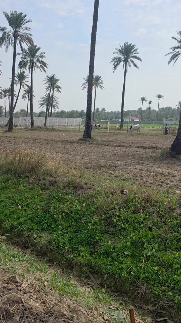 سلام عليكم ارض للبيع المساحة نصف دونم واجهة ٣٦
نزال من سدة ٧٥م المدائن منطقة الجعارة للستفسار ***********
