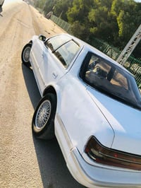 شيزر عظم • ١٩٩١ • رقم كربلاء