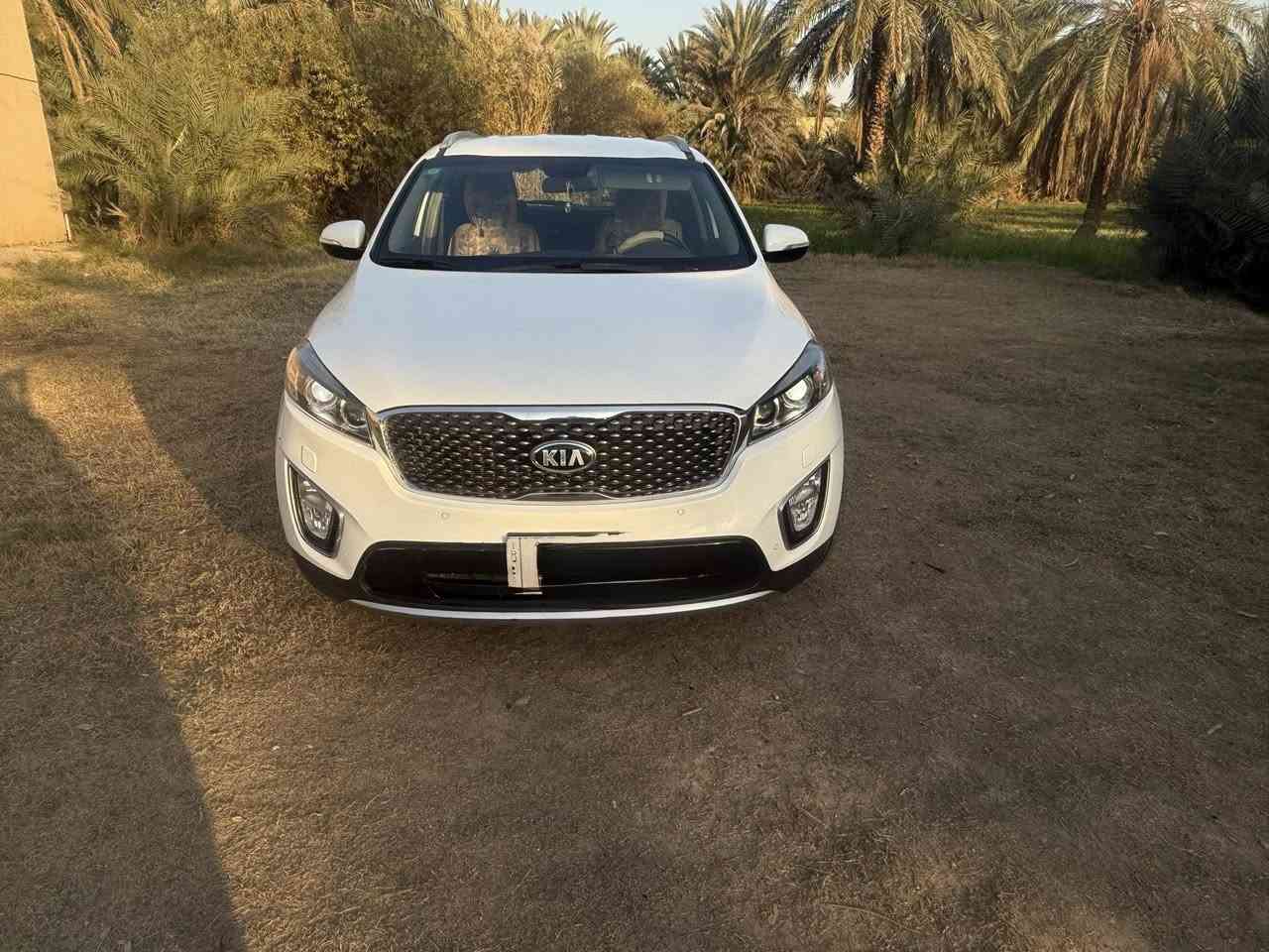 السلام عليكم 
سورنتو 18خليجي 6/كير محرك حداديه تبريد كفاله رقم بغداد سنوية جديده مشروع وطني مواصفات السياره بصمه أبواب كشنات جلد 7راكب 3قطع تبريد زراك لايت السعر 235وبيه مجال أو مراوس حسب القناعه مكان السياره ديوانيه ***********
