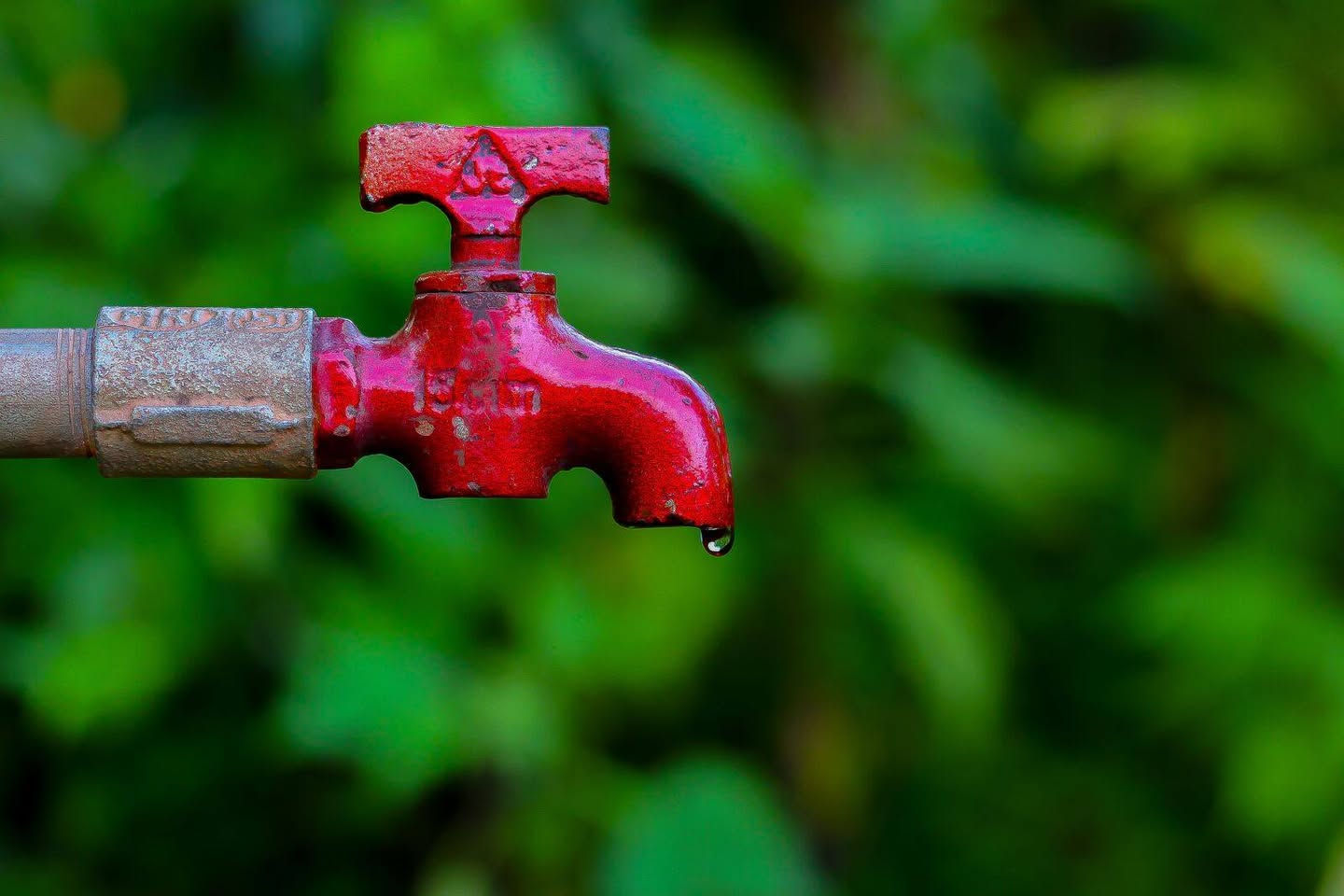 كميرة تصوير احترافي كانون 700d بحالة الوكاله 
النظافة 100% بسعر مغري جدآ لتواصل 0796277332 موجود صور من تصويرها بالمنشور... 
مع المشتملات الآتية:
عدسة 18 55 
بطارية 
ستراب اصلي
شاحن 
كرت ذاكرة 
حقيبة  
مواصفات كاميرا كانون EOS 700D
معالج الصور Digic5 والذي يساعد في التصوير، والحصول على صور ذات جودة عالية.
مستشعر سي ام أو اس هجين Hybrid CMOS بدقة تصل إلى 18 ميجا بيكسل، ومعالجة الصور في الإضاءات الخافتة لوجود حساسية الضوء إيزو.
التركيز البؤري التلقائي Servo والذي يساعد في الحفاظ على الأهداف المتحركة.
زوايا مختلفة للتصوير.
شاشة LCD، وتعمل على تغيير الزوايا باللمس Clear view.
تصوير عالي السرعة.
شاشة لمس واضحة وكبيرة.
التحكم في وحدات فلاش Speedlite من بعد.
دقة فل اتش دي FHD.
جودة التسجيل الصوتي ستيريو.
خاصية التركيز التلقائي 9 نقاط من نظام كروس، وبالتالي يمكن التقاط الصور بسرعة 5 أطر في الثانية، وسلسلة اللقطات 22 لقطة.
تصوير عدة صور مع أنماط مختلفة، ودمج كل هذه الصور في لقطة واحدة، وذلك من خلال التحكم بالإضاءة الخلفية بالمدى الديناميكي العالي.


**إذا كنت صاحب هذا الإعلان وتريد حذفه لأي سبب، رجاءا أرسل رسالة إلى الدعم الفني**