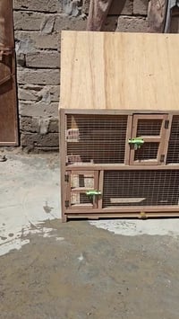 قفص بلابل • اعشاش ٤ • معالف ٤