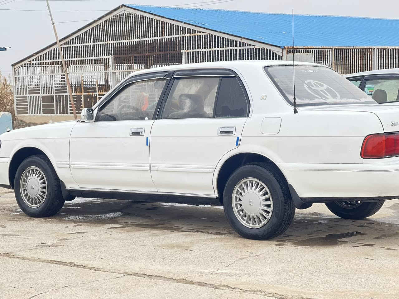 للبيع أرنب بلادي يسرا كير محرك بطه صدر جديد تبريد مصبوغه عام جماليه السعر73وبيها مجال مكانها بيجي
***********
