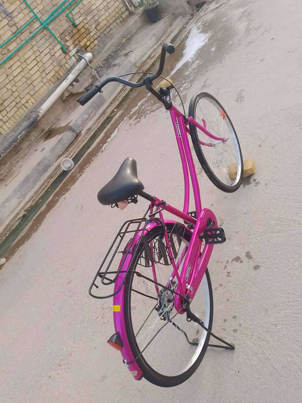 شباب باسكل لبيع موديل 22كفاله من زلع باسكل سانتوس البلادي غراضه كامله


**إذا كنت صاحب هذا الإعلان وتريد حذفه لأي سبب، رجاءا أرسل رسالة إلى الدعم الفني**