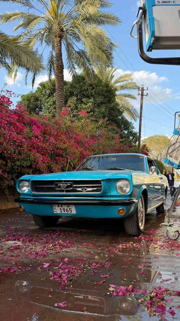 موستنج 1965 رقم نفس موديل سياره بلاديه كلها بس صبغ بدبي مصبوغ 6000كلم
***********
***********
