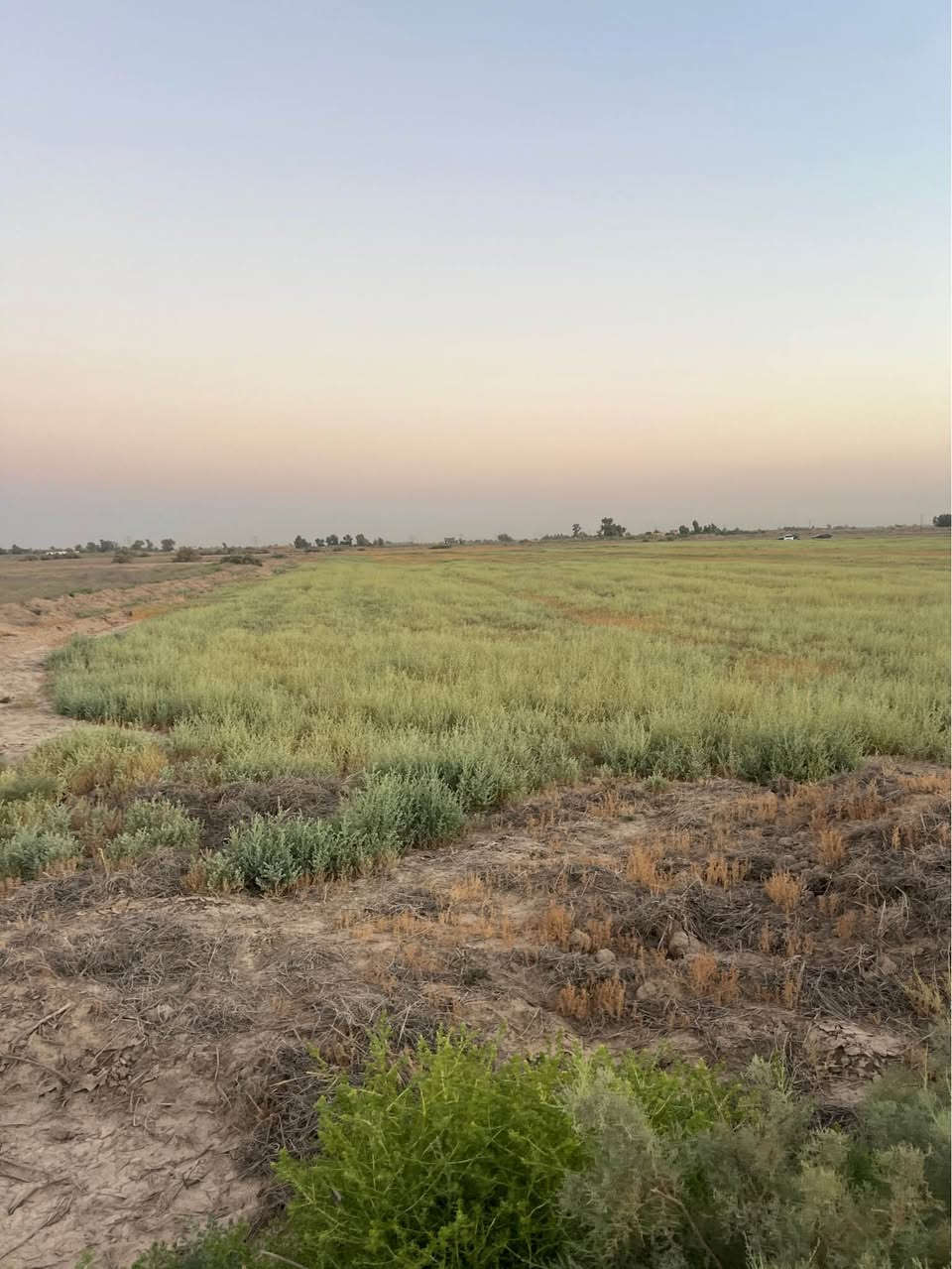 ارض طابو زراعي سند 25 للبيع 
تحويل طابو المحمودية 
الموقع : بغداد - المحمودية - الطريق الدولي السريع - الجسر الخامس - منطقة بزايز اليوسفية 

للبحث عنها في الويز اكتب ( الجسر الخامس الدولي ) 

سعر الدونم 16 مليون فما فوق 

موجود من 1 دونم الى 30 دونم 

للاستفسار خاص او واتساب فقط 
*********** المدائن, بابل
