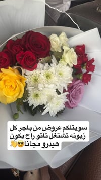 تخفيضات محرم • صالون ديفا • سماوه الغربي