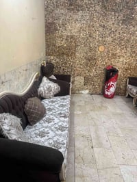 قنفات تركي • خشب زان