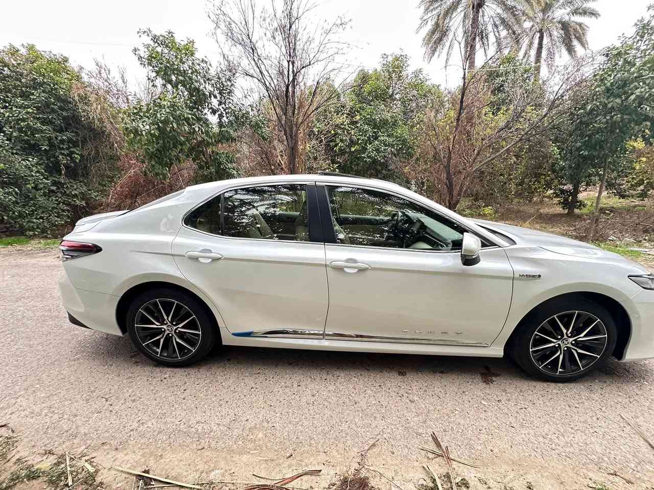 كامري خليجي هايبرد  2024 فئة GLE 
فول مواصفات بصمة سلايد فتحة سقف 

ماشية 22 الف قابل للزيادة 

بدون ضرر بدون صبغ من الدعامية للدعامية 
 ملاحظة بسيطة مرفقة بالصور

المواصفات 
فتحة 
بصمة 
تحكم ستيرن جهتين 
سايد بريك دكمة 
نظام سبورت 
نظام ايكو 
نظام Apple CarPlay و اندروين اوتو 
شاحن موبايل لاسلكي
برده خلفيه كهرباء 
حساسات امامية + خلفية
مري شفط كهرباء 
اشاير بالمري 
قطعتين تبريد 
شاشة كبيرة
كامرة خلفية دوارة
مكينة 4 سلندر 2500
لايت زنون 
لد امامي 
بلوجكتور زنون 
ويل كب كروم 18
كشن كهرباء 
داخل بيجي 
اناره داخليه LED
مانع انزلاق
وبيها بعد مواصفات 
مكانها بغداد 
السعر 248وبيهة مجال 
الرقم:***********
