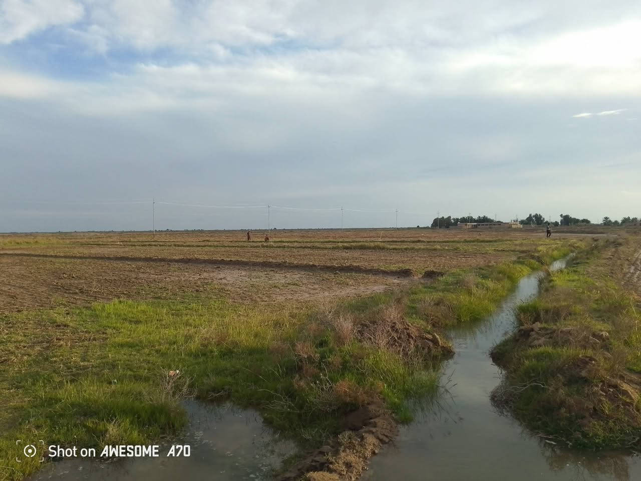 ارض زراعيه البيع 30دونم مع قطاسات  الشراي يتصل على هاذه الرقم ***********
