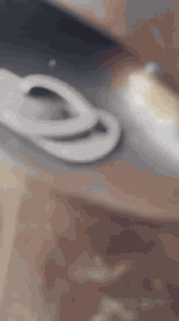 سلام عليكم دراجة فله 120 دراجة كفاله عامة مكينه ناعمة مامفتوحة موديل 2012 دراجة قبل شهرين من نازله دراجة كفاله بيهة نقوصات بصيطة الشراي يجي خاص سعر ب750 
‏‪***********‬‏ مكاني بغداد الغزاليه
