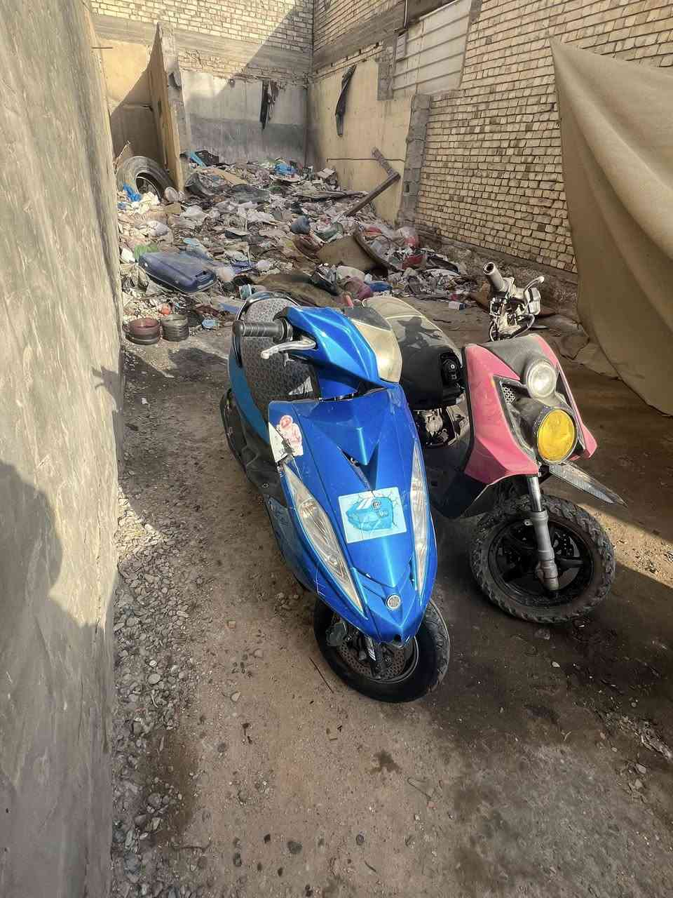 سكنس جبلي سعر ٥٠٠ سكنس جي تي ار  سعر ٦٠٠ وبيهن مجال اكفلهن سرقه شغالات نكره سلف شغل وتقتنع يلا تشتري عوزهن ترتيب مكاني الامين الثانيه ***********
