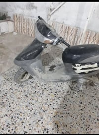 منغولي • فحل • شرط الشغل