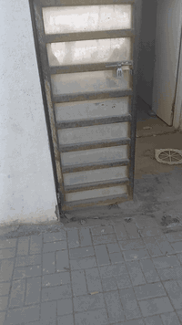 مشتمل للايجار بالجمعية قرب جامع هميم
السعر الايجار ٣٠٠ وبي مجال
رقم الموبايل ***********
