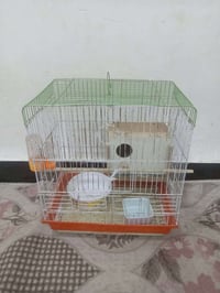 قفص • الحريه الأولى • للبيع