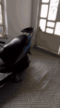 دراجه ماكس عدله للبيع
1- تزويد خفيف خارجي( التزويد قبق فلاوين و شيال و وياله نجمه وملقط واير بريك وكاسحه وكبوسة و كفرات و حتة البنزات لون ازرگ و كلچات شرط رياضي بوشه 49 و بيهة شلعة الي نذكرن كلهن لون ازرگ من عدا الكاسحه سودة) 
2- صالنصة FM 
3- محرك مال رمبة قبل يومين نزلتة بوشه 49 شرط فر المحلات اذا مفتوح
4- السوادات ملح وسواد خبط + الفچ موجود لون احمر 
5- نگره سلف و هندر جديد
العنوان ديالى بلدروز الرقم ***********
             السعر خاص وبيهة مجال 💁🏻🩵
