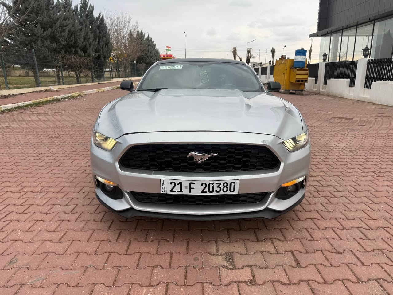 موستك موديل 2016 فول موصفات محدث 2022 ضرر بس بولند بدون دوخل و بدون ايربك ما طك شرط سيارة جديده شبابيا رقم و سنويا جديد شرط تحويل سعره 125$ مكان عقره رقم تلفون كورك وتساب *********** دهوك, العراق
