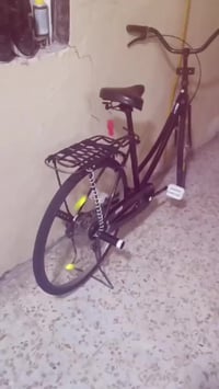 باسكل • كلوف • موديل ١٩