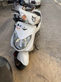 دراجة سكنس • مكفولة • فحل