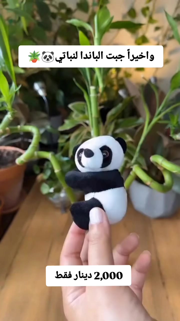 باندا تعليق للنبات موديل كلش حلو وكيوت 🐼🥰 يسويلج إضافة حلوة للنباتات سعر القطعه الفين دينار فقط ✅💫


**إذا كنت صاحب هذا الإعلان وتريد حذفه لأي سبب، رجاءا أرسل رسالة إلى الدعم الفني**