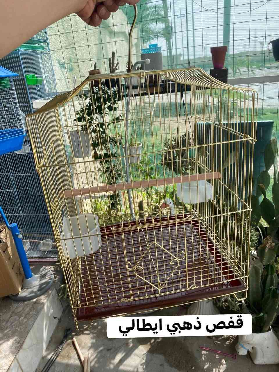 ‏ معرض السومري 
‏عنوان الناصرية قضاء الرفاعي حي العمال شارع الجوازات يوجد خدمة توصيل للطلب والاستفسار مراسلة الصفحة أو الاتصال عبر الهاتف ￼***********
