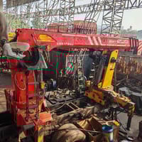 رافعة هيدروليكية • مستعملة • أذرع مستقيمة