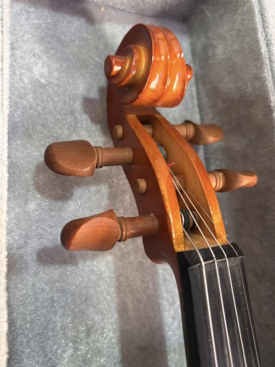 � كمان 4/4 كامل للبيع – مع جميع الملحقات – جاهز للعزف 🎻

فرصة جيدة لعشاق الموسيقى أو لمن يريد تعلم العزف على الكمان. الكمان بحالة جيدة ومحافظ عليه، وصوته جميل.

المواصفات:
✔️ الحجم: 4/4 (حجم كامل للكبار)
✔️ الموديل: GVTS00
✔️ صناعة شركة Nantong Sinomusic Enterprise Limited
✔️ الواجهة الأمامية: خشب Spruce (سبروس)
✔️ الظهر والجوانب: خشب Maple (قيقب)
✔️ لوحة الأصابع: خشب Ebony (أبنوس)
✔️ الطلاء لامع وجميل، والكمان جاهز للعزف مباشرة

الملحقات المرفقة:
🎻 الكمان
🏹 قوس بحالة جيدة
🎒 صندوق حماية للكمان
🧱 صمغ خاص بالقوس (Rosin)

✨ مناسب جدًا للمبتدئين وطلاب الموسيقى
✨ آلة جميلة للتدريب والتعلم

💰 السعر: 160,000 دينار عراقي
💬 قابل للتفاوض للجادين


**إذا كنت صاحب هذا الإعلان وتريد حذفه لأي سبب، رجاءا أرسل رسالة إلى الدعم الفني**