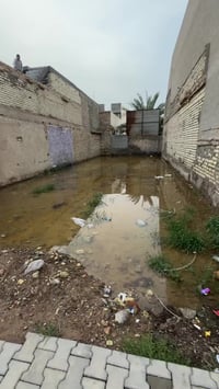 الطارمية • ١٦٥م • إجازة بناء