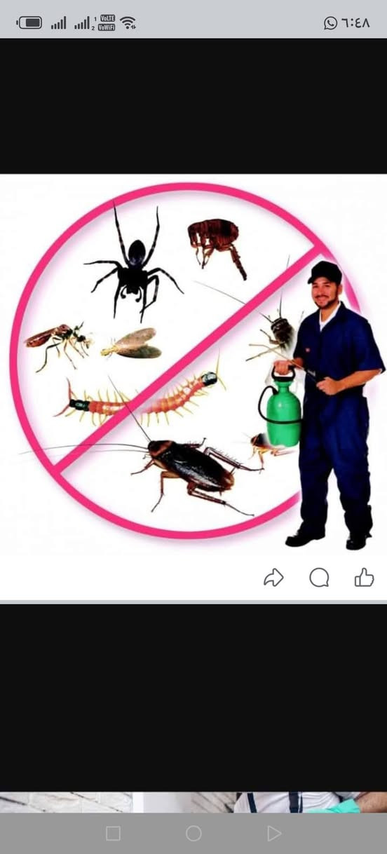 مكافحه الحشرات ولأرضا الاستفسار رقم ***********
