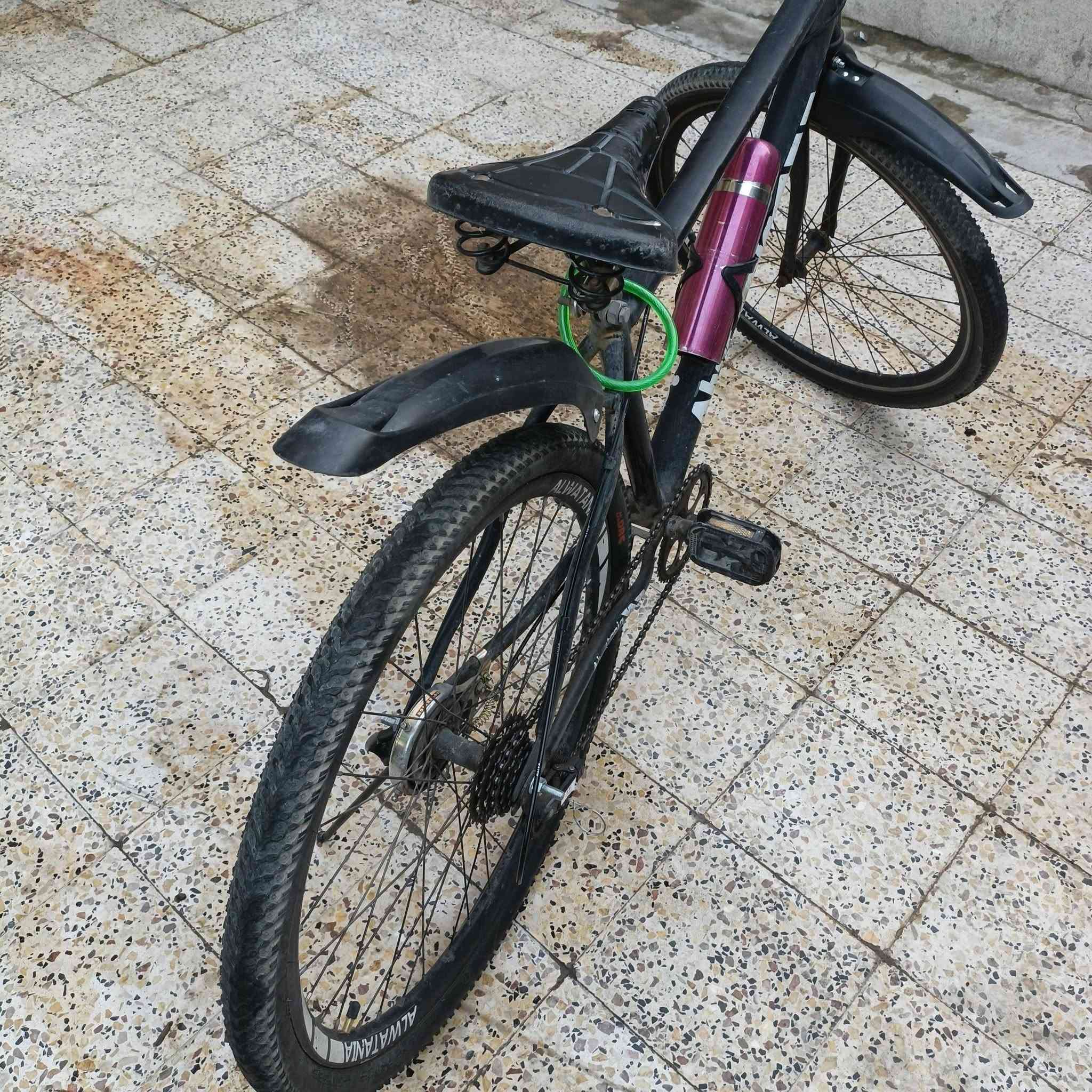 السلام عليكم عندي بايسكل جبلي للبيع لون اسود 
حجم 26 
البريكات شغالة والبايسكل نظيف حيل
ويجي وياه قاعدة تحط عليها مطارة للماي هدية 
ويجي وياه قفل للبايسكل هدية 
بي 6 سرعات 
ويجي وياه بايسكل جبلي احمر حجم 22 فحم هدية ويجي وياه سلة هدية
السعر 90 مكاني بحي 17 تموز للاستفسار
***********
