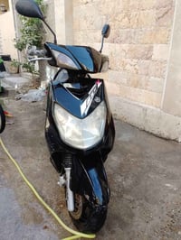 سكنس • ١٤٠ • فحل