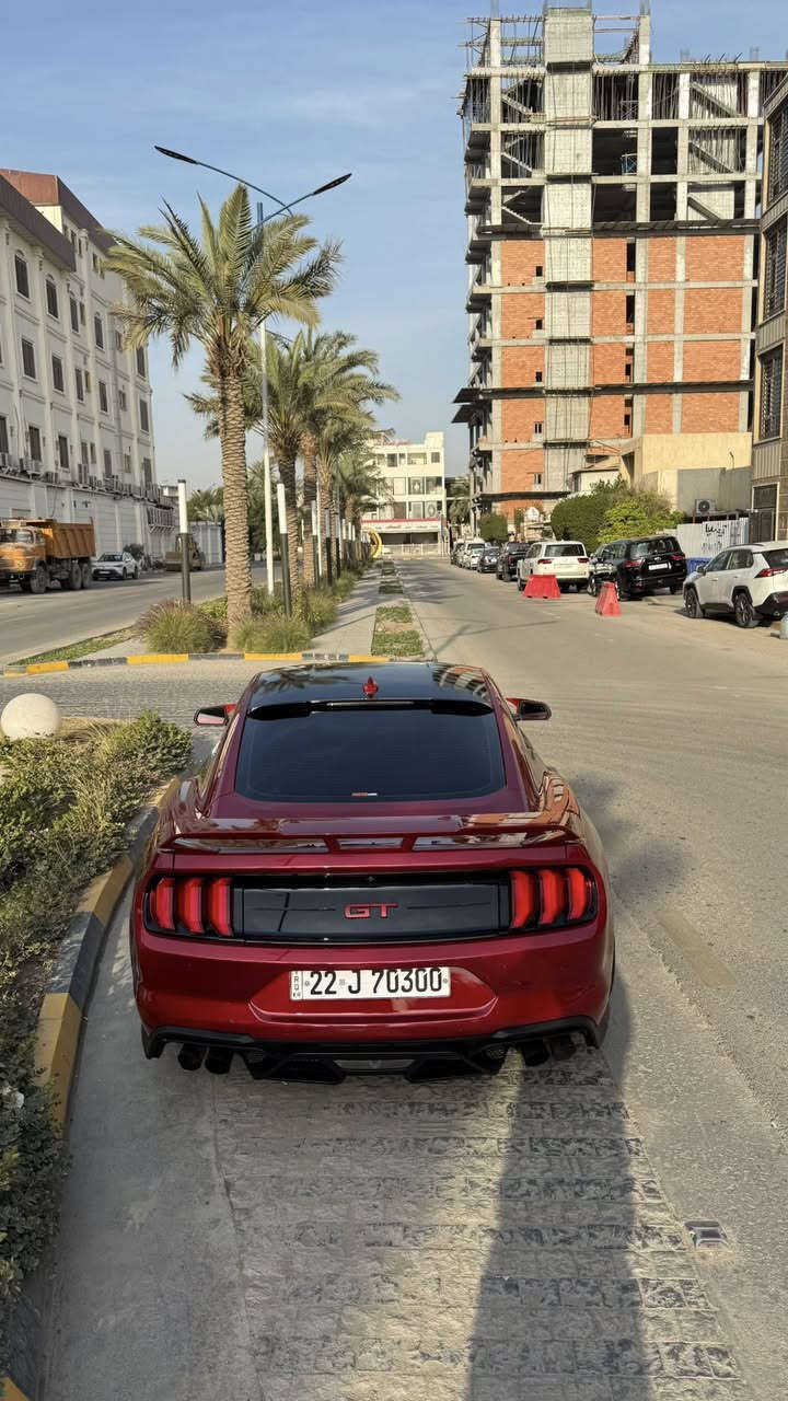 موستنك GT 2022 بريميوم تراك بكج Pp1
سلام عليكم فورد موستنك GT 2022

من فئات قليله بل عراق تجي كشنات ريكارو وسقف كنتار اصل من امريكا راديتر اكسل صدر ودبل كهربائي يختلف فجوج 6 بستم وليس اربعه نفس مال جي تي بقيه فولل اعلى شي تجي بل مواصفات

مكينه (8سلندر) 5000cc

كير اوتو (10)نمر

ماشيه(30 الف)ميل

مكان (بغداد-الحارثيه)

لون (كرزي مميز)

رقم تلفون (***********)

السعر (238ورقه) ومجالها كلش بسيط

رقم اربيل الجديد فحص هزة جديد وسنويه باسمي تحويل ثاني يوم يعني ما تحير بصوت اكزوز لو وشومات لن هزة جديده

سياره حادثها ربع جاملغ امامي وربع بنيد  جاملغ مبدل وكالة بدون معجون وبدون صبغ نفس لون

(قطعه وحده صبغ فقط بنيد) بدون دواخل كفالة من جكه الابره ايرباك راجع سستم لا راديتر لا مروحه ايشي يخص مكينه مواصلته ضربه نهائي وصور الحادث بل منشور

وساحب تقرير  كار فاكس مالتها  بفلوس ايضاً ما بيها اي حادث مسبق ب امريكا او غرق الي يحب راسلني واتس ادزهله تقرير

سياره كير مكينه اكسل كاردن صدرها بحالة الوكالة برغي ما مفتوح بيها بجم كبس البراكيته اماميه حتى ضربه مواصلتها

سياره من دخلت حد الان مسويلها ادامة وصيانه كامله بشركة  فورد القاصد دهن  وفلتر دهن و فلاتر شوته و تبريد كلة وكالة اصلي

دشبولها ماكو اي كلوب معتلك كله صافي

نجي على مواصفات فول 1/1

١- تشغيل عن بعد

٢- شاشة كبيرة sync 3 كار بلي

٣-اكتف اكزوز حسب المود تفتح بوابات(نورمال-سبورت-تراك)

٤-فجوج بريمبو 6بستم

٥-عداد ديجتال يتغير ثيم حسب المود

٦-دمام صوت بل صندوك وكالة

٧-تحديد مسار

٨-رادار امامي

٩-رادار جانبي(نقطة عمياء)

١٠-رادار خلفي

١١-حساسات خلفيه

١٢-كامرة خلفيه

١٥-ستيرن تدفئه هيتر

١٦-خمس وضعيات قياده(نورمال-سبورت-تراك)

١٧-ترحيب بل مرايه

١٨-هيترات بل مرايه

٢٠-سستم سماعات

٢١-لايت زنون ابيض من وكالة

٢٢-شعار الموستنك ضوئي من الابواب بلادي

٢٣-شعار موستنك ضوئي متغير بل دوسات بلادي

٢٤-كيجات تراك بكج (اويل برشر) و( فاكيوم) بل دشبول

٢٥-كشنات جلد

26-سترس بار فوك مكينه من وكالة
