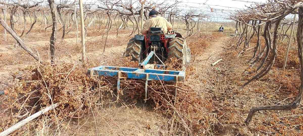 سحب حطب تنضيف فول ***********
