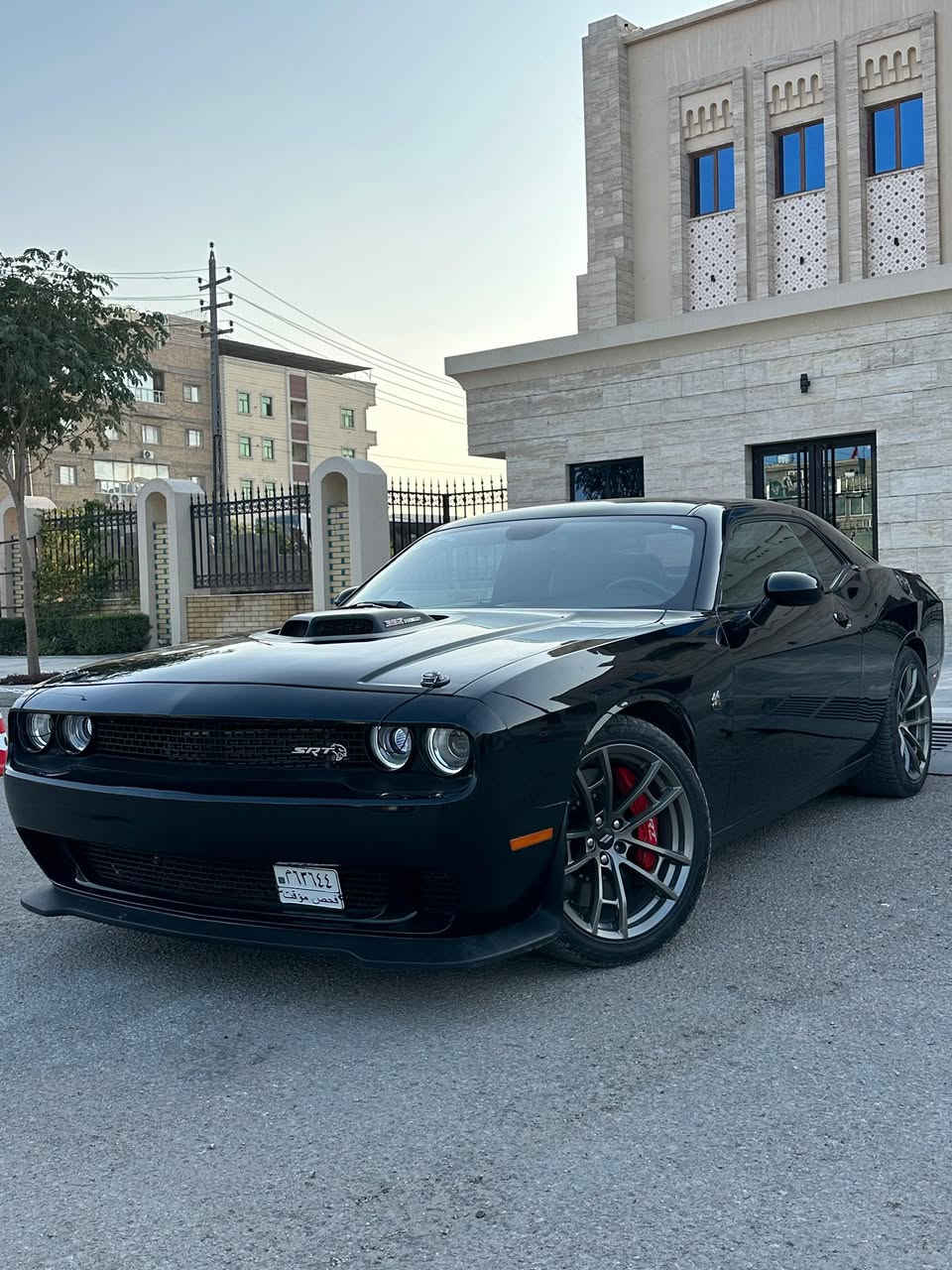 السلام عليكم 

چالنچر SRT شيگر 6400 (( 2023 Last call ))🔥❤️
من القطع المميزه بشركة Dodge والطابع الرياضي🔥🔥
(( 16 ميل ماشية )))
المواصفات ،،
دبلات SRT 
شوته رياضي 
دخول ذكي 
 تشغيل عن بعد
 بصمه 
 كشنات خزت ميموري 3 وضعيات 
لايتات شيكر 
كشنات حضن 
 كشنات جلد +كنتاره 
 كشن كهربائي 
 ستيرن كهربائي 
 ستيرن تدفئه تبريد 
 كشنات تدفئه + تبريد 
 شاشة حجم كبير 
اكسل قفل 
 فجوج 6 بستم SRT 
 ويال SRT 
نقط عمياء + هيتر مرايات 
الداخل كاربون فايبر 
ختومات Shaker  
مثبت سرعه / شفتات / حاكية / كامره دواره / حساسات / عداد السرعه ابيض مختم شيكر وبعد بيها مواصفات خير من الله السياره حلوه وعليها نصبه وكشخه  وبعدها دخول جديد وشبه زيرو تخبل كير مكينه بحالة الوكالة حادثها جاملغ الخلفي والجاملغ الامامي برغي مامبدل بسياره  بدون تبديل بدن كص وصلتني سياره بيه كلير عام يعني من  امريكا بسبب طخات بسيطه عندي صور طخات وعلى اساسها نرشت كلير بنسبه الهم سالفة الصبغ عاديه مو قصة مكلوبه سياره او ملعوب بيها
للاستفسار غير متواجد ع الفيس 
اتصال او واتساب ***********
