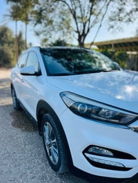 توسان فول • ٢٠١٨ • بابل حله