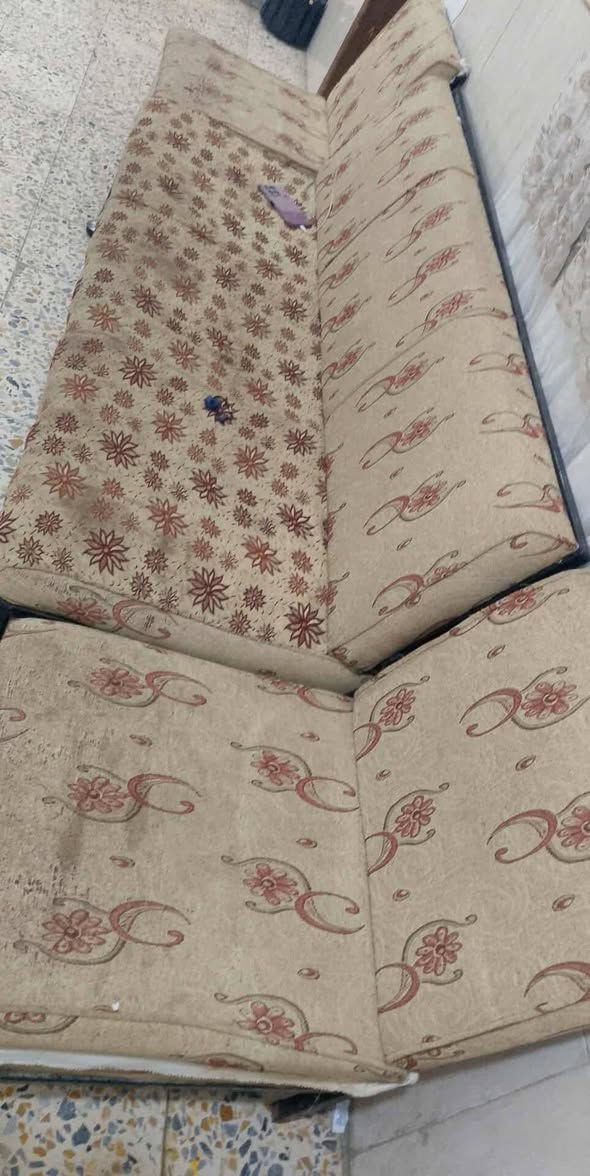 سلام عليكم عندي تخم للبيع السعر 150 وبي مجال اي استفسار عل واتساب  ***********
