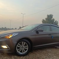 سوناته • ٢٠١٥ • وارد امريكي