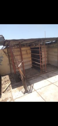 اقفاص دجاج • ابراج دجاج
