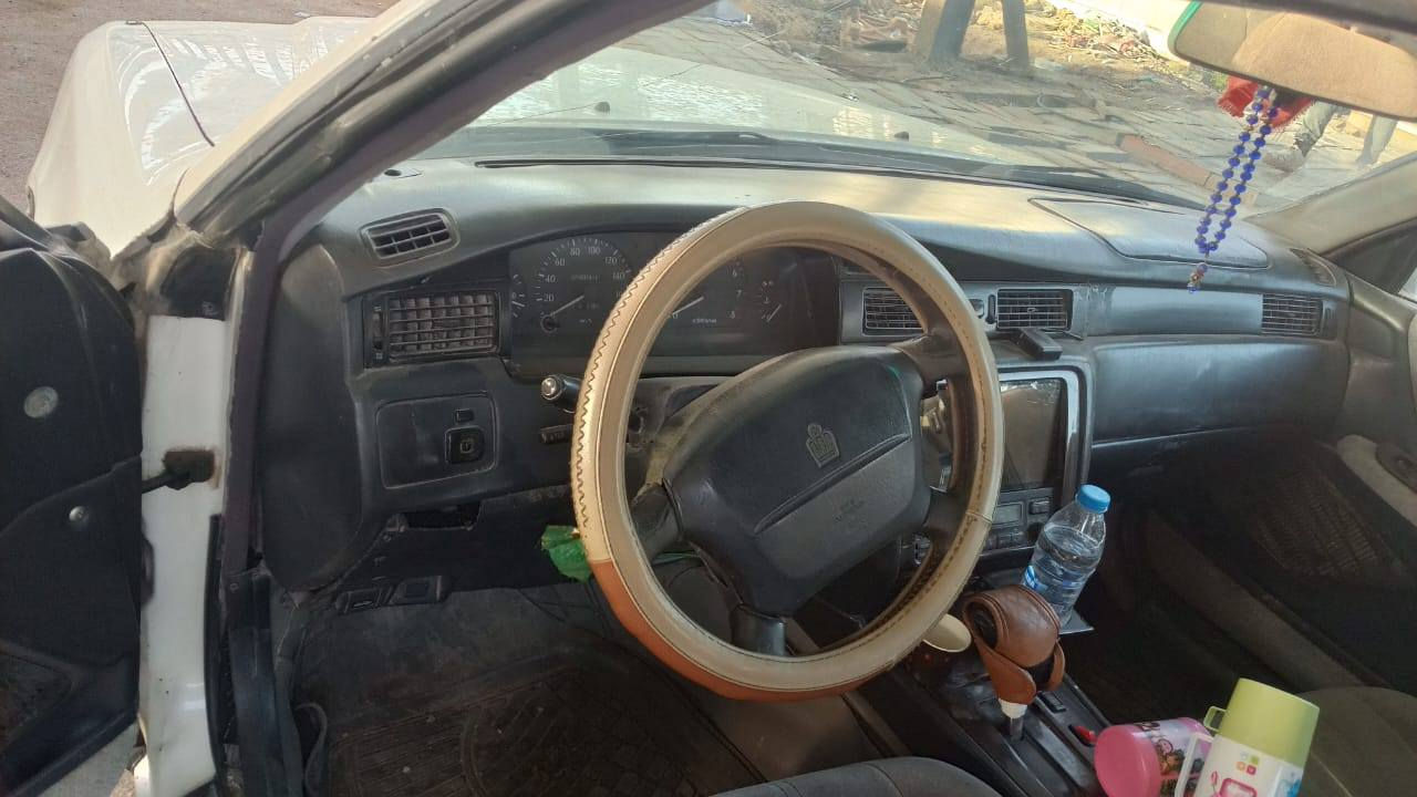 عندي ارس ثور  لبيع الميكان حله  نادر ثالث رقم ***********لسعر 75 رقم  موبايل
