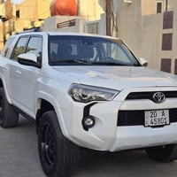 ٤رينر • ٢٠٢٤ • وارد امريكي