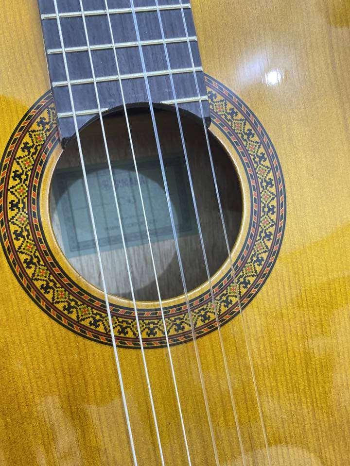 گيتار yamaha c45 الاصلي نظافه 100‎%‎‎% مامستخدم ابداً 
فيديو  يوضح تفاصيله
متوفر الجنطه الخاصه بيه
ومتوفره علبه الكارتون الخاصه بيه 
السعر 130 الف 
متوفر توصيل 
للاستفسار خاص


**إذا كنت صاحب هذا الإعلان وتريد حذفه لأي سبب، رجاءا أرسل رسالة إلى الدعم الفني**