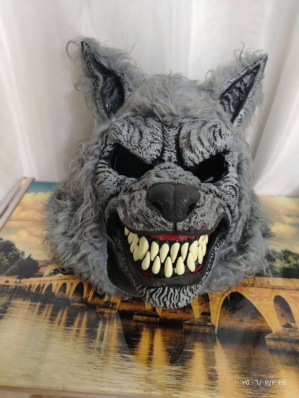 مجسمات للبيع للي يريد تواصل خاص


**إذا كنت صاحب هذا الإعلان وتريد حذفه لأي سبب، رجاءا أرسل رسالة إلى الدعم الفني**