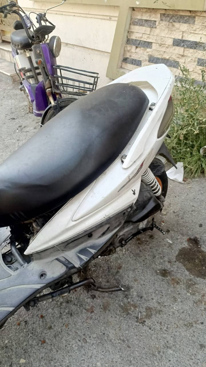 سلام عليكم شباب سكنس فحل شوفت عينكم يرادلها ترتيب سعرها ٣٠٠
***********
