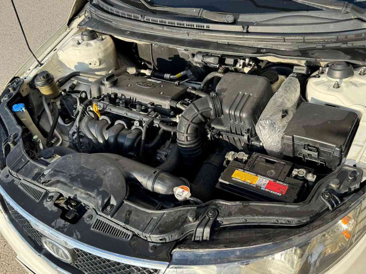 ((( للبيع فقط )))
سيراتو 2012 
بجم كبس 
ضررها صندوق وجاملغ وبابين جهة سكن
بدون دواخل
تبريد تدفئة شغال
رقم اربيل جديد
باتري جديد
سنوية لحد 27 
بطاقة بانزين
بأسمي
شاشة 
محرك وكير بدون عيب
بدون صرف وبدون بخار

السعر 97
مكانها كركوك
*********** كركوك, العراق
