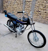 تعمير 2026 • شاصي 2025 • القاسم الطليعه